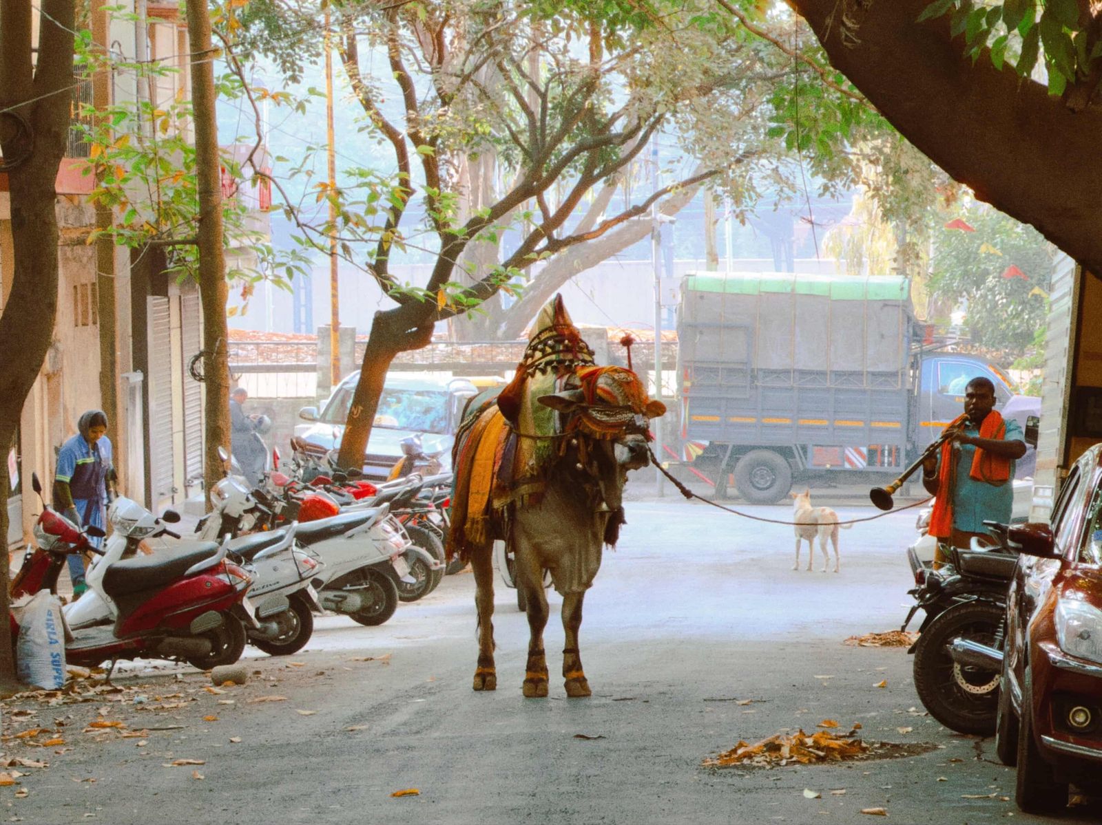 An old Bangalore street with a horse cart